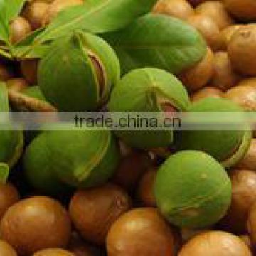 Organic Grade Soapnut Shell At Your Door Step