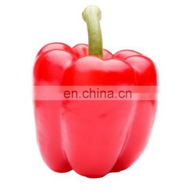 frozen red pepper frozen red chili with good quality and moderate price in China