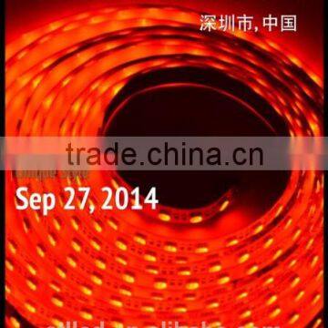 High Quality SMD5050 DC12V DC24V Led Flexible Strip Light photo-3