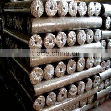 1 Inch Galvanized Welded Wire Mesh