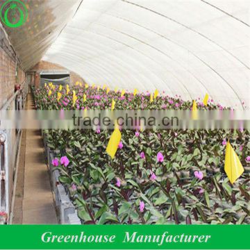 china solar brick film greenhouse