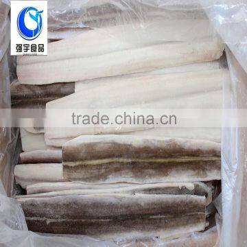 New Arrival Frozen IQF Conger Eel Fillets factory