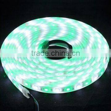 New Arrival! 5050 12v 30leds/60leds Rgbw LED Tape/LED Strips Made in China photo-4