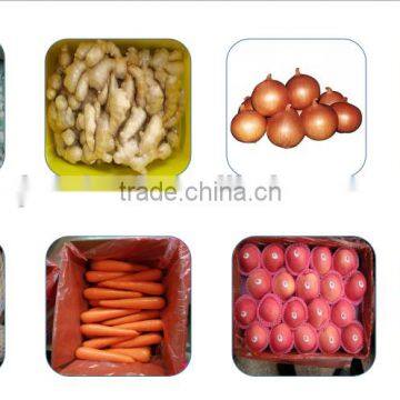 China Ginger for Sale / Ginger Price photo-3