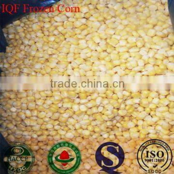 IQF sweet corn kernels medium sweet price