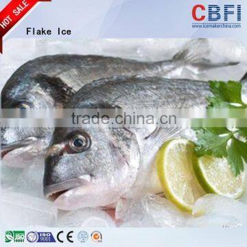 High Quality Ice Flake Machines Manufacturer For Sale photo-6