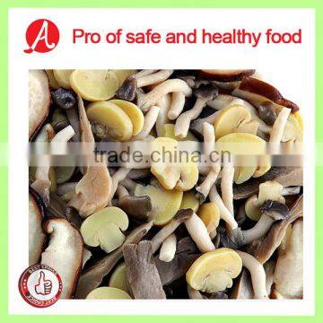 Frozen Mushroom Mix in Bulk of High Quality