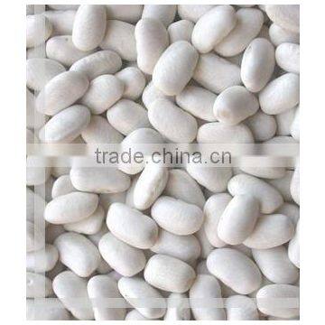 white beans for Asia