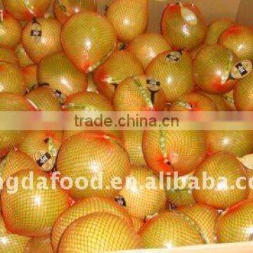 best price new crop Chinese fresh honey Pomelo