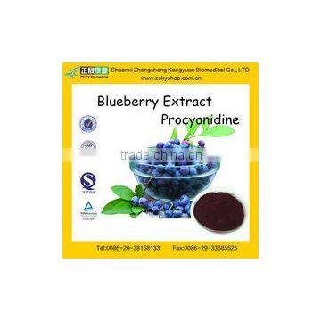 Super Quality and 100% Natural Dried Blueberry Extract Powder