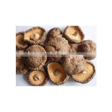 Dried Shiitake Mushroom Wholesale in China photo-6