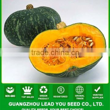 MPU09 Yuanhua deep yellow fresh hybrid sweet pumpkin seeds company