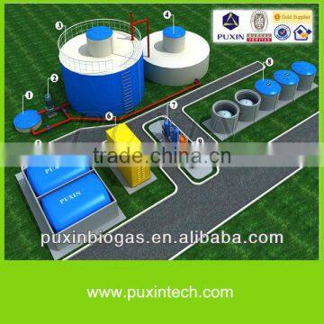 power biogas plant for generating electricity