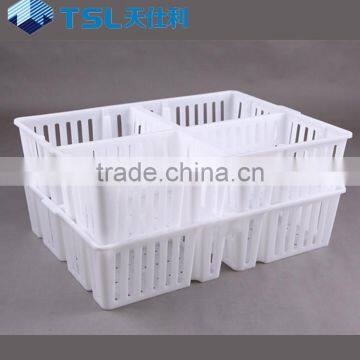 high hardness and durable plastic chicks box