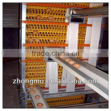 Layer chicken cage auto egg collection system