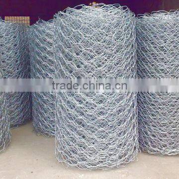 Hexagonal Wire Netting/mesh