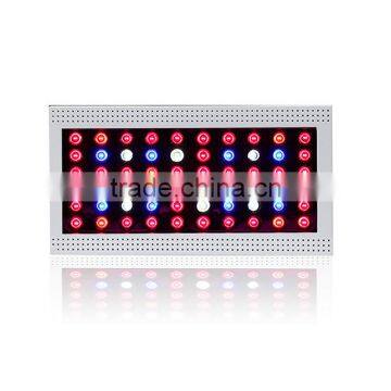 Best Price of High Intesity High Lumens Output 300w Led Grow Light for Plants Grow photo-2