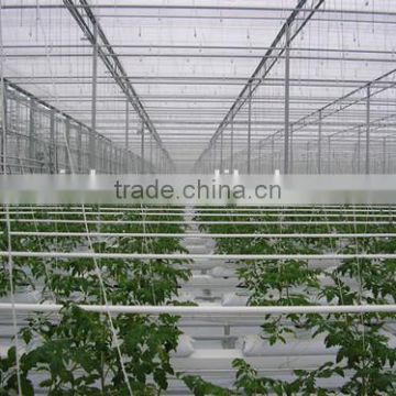 New Arrival Aoci Clear Color 8mm PC Sheet Greenhouse