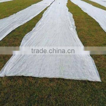 3% UV Resistant Agriculture Nonwoven Fabric photo-5
