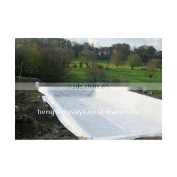 Hot Sale HDPE Geomembrane HDPE Sheet . photo-5