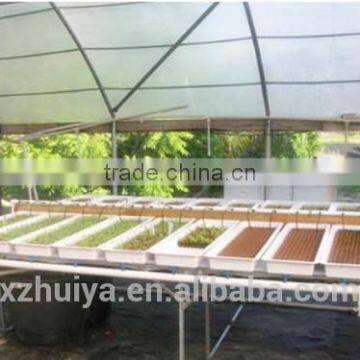 Wet Floral Foam for Agriculture Soilless Seedings Planting photo-4