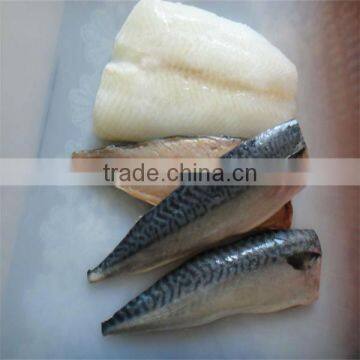 frozen sea fish suppliers