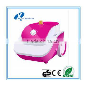 Vertical Steamer Garment Steamer Double Pole 2.5L