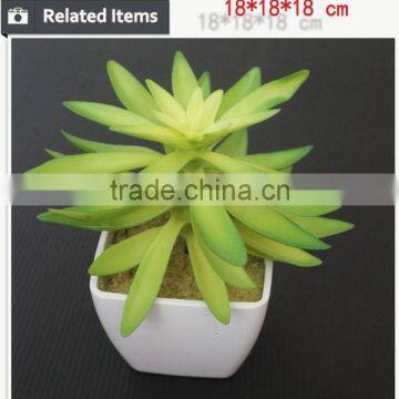 Hot Sale Artificial Potted Plants Chinese Succulent Plants photo-4