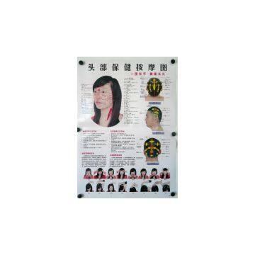 Acupuncture Points Charts Wall Form 7 Pages Paper (47cmX66cm) Meridian Chart Acupoint photo-3