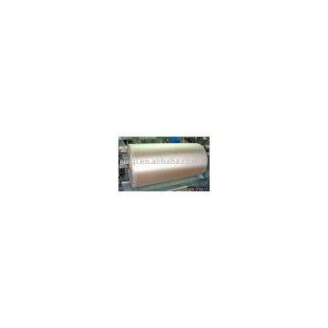 Dipped nylon canvas NN300