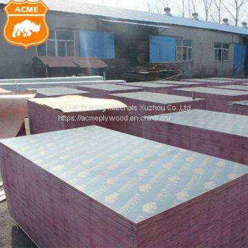 1220x2440mm Structural Plywood for Construction photo-4