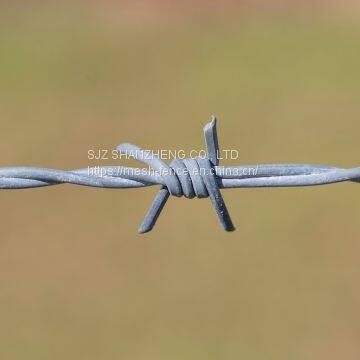 Hot Dipped Galvanized Barbed Wire Security Fence photo-3