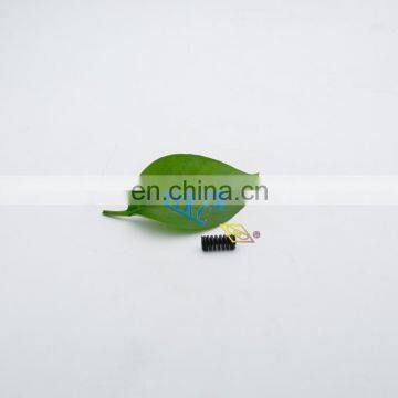 Valve Spring E1022009 Top Quality Valve Springs for Common Rail Pump photo-5