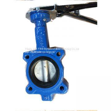 Cast iron Lug double shaft pinless Worm Gear butterfly valve