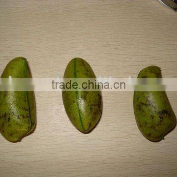 Griffonia Seed Extract