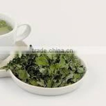 High quality Moringa Tea for sales and export