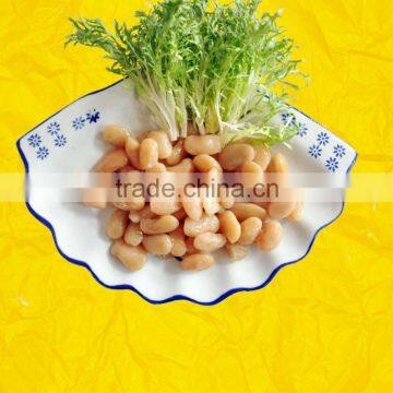 Nan Guang export kidney beans snacks( cooked)150g