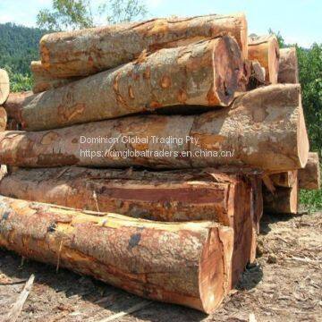 Cheap Kosso / Sapelli / Tali / Teak / Pachyloba Wood Logs photo-5