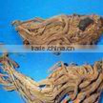 Excellent High Quality Best Selling Lovage Oil With the Lowest Price photo-2