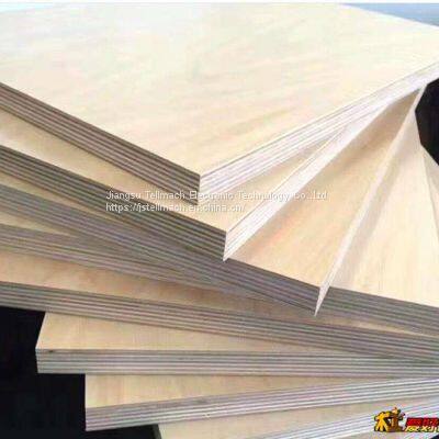 Birch Faced Plwood for High Quality Furniture photo-3