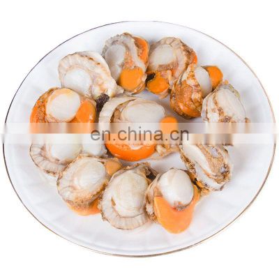 IQF frozen scallop frozen scallop meat