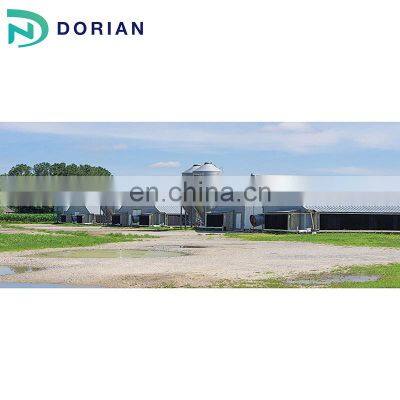 Steel structure poultry farm house for 5000 chickens