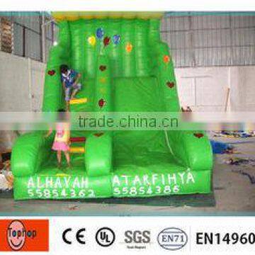 Giant Inflatable Chameleon Slide Games for Kids Amusenment Park photo-3