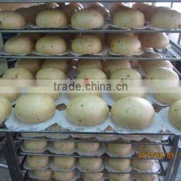 TY-812 Meat Bun Machine photo-6