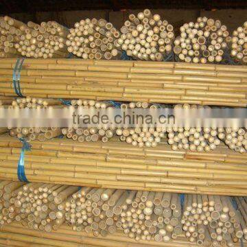 natural bamboo pole