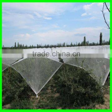 China Factory Supply High Quality HDPE Vegetable Nursery Hail Shade Net for Vegetables With Cheap Price
