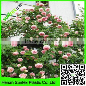 Heavy Duty Long-lasting Flexible Trellis Netting Mesh Squares Plant Support Net