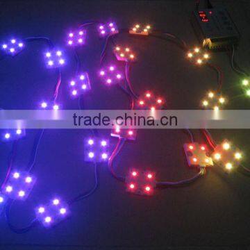SMD5050 Water-flowing LED Module IC Waterproof