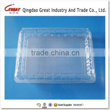 PET Food Grade Clear Disposable Blister Plastic Packaging Container for Blueberry photo-4