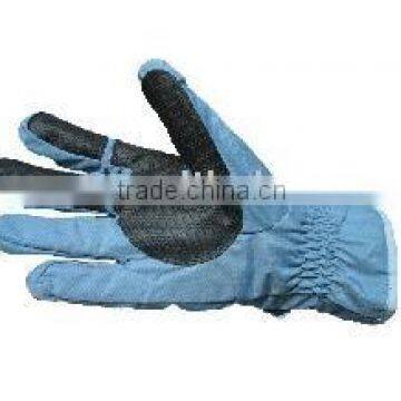 Ski Glove / Sports Glove / Winter Glove